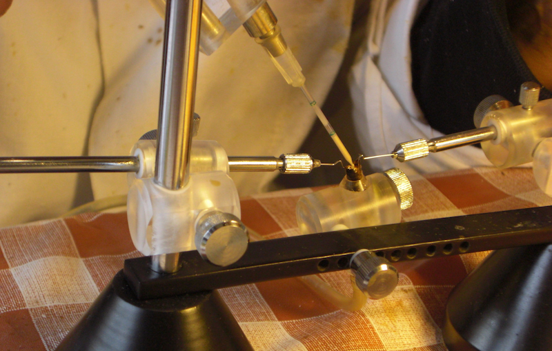 Matki pszczele Bielka- Leszek Bielicki