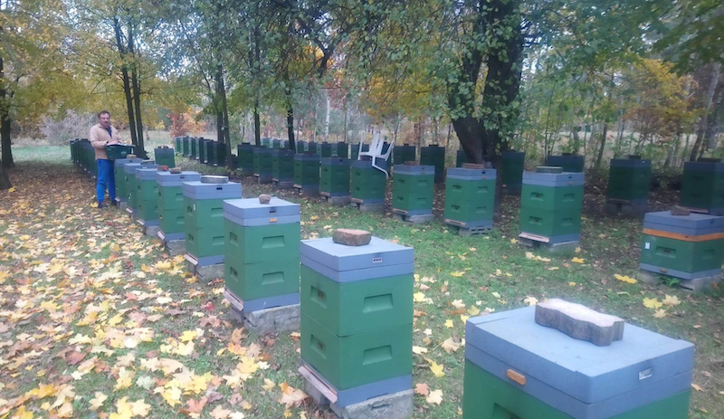 Matki pszczele Bielka- Leszek Bielicki