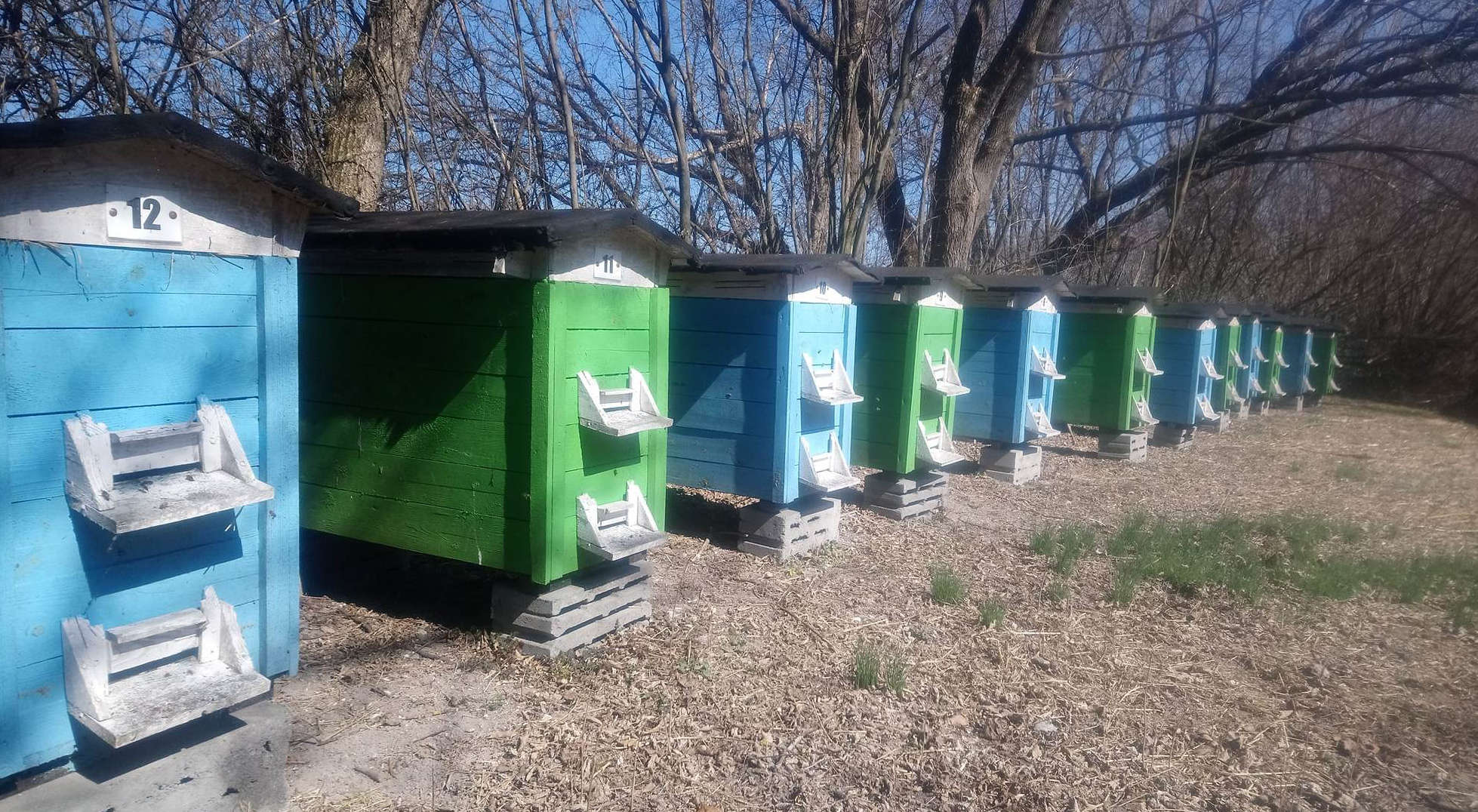 Matki pszczele Bielka- Leszek Bielicki