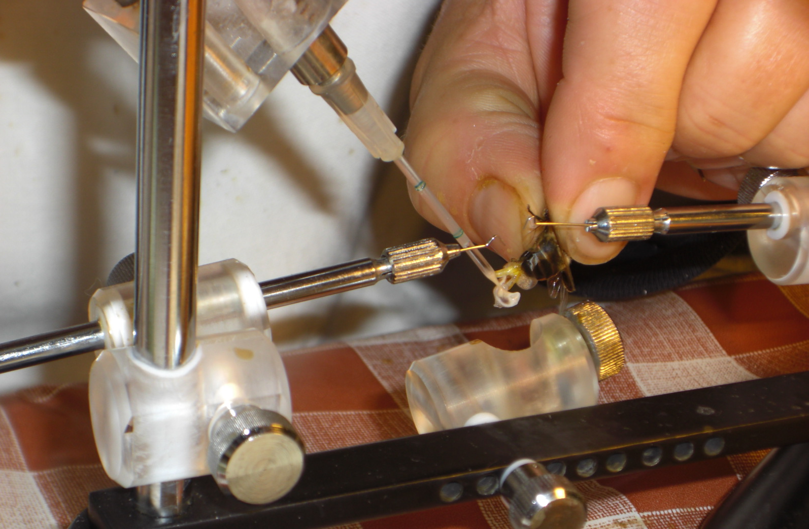 Matki pszczele Bielka- Leszek Bielicki